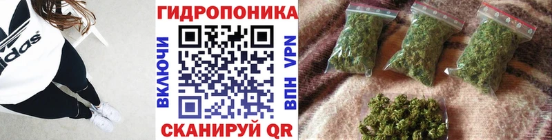 где можно купить наркотик Отрадное Конопля THC 21%